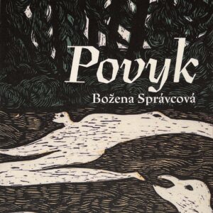 Povyk