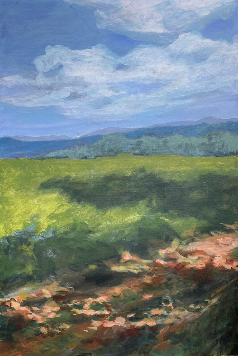 Cesta, 60x40, akryl
